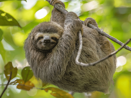 CostaRica Web Photos2