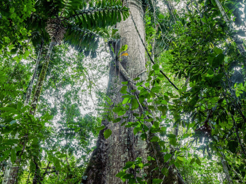 CostaRica Web Photos3