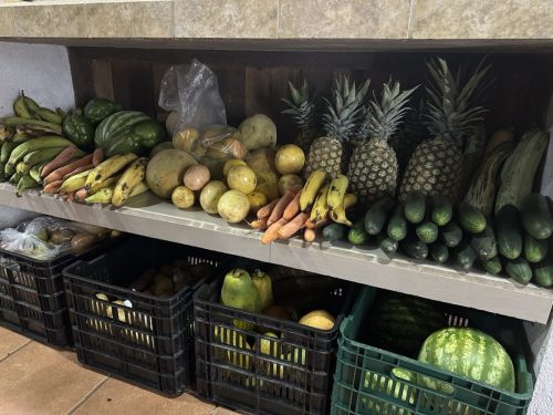 Costa-Rica-MAL-Day-11-Large