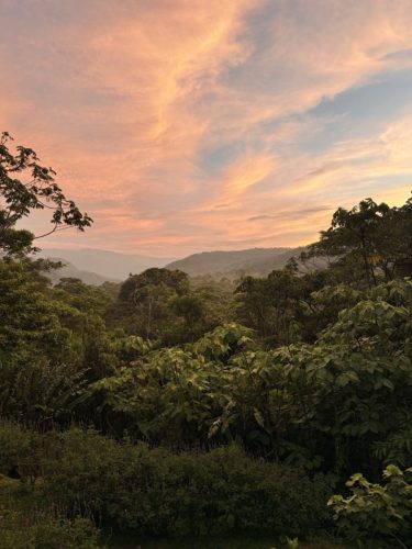 Costa-Rica-MAL-Day-114-Large