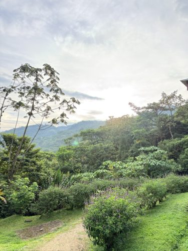 Costa-Rica-MAL-Day-119-Large