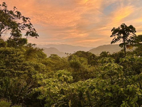 Costa-Rica-MAL-Day-12-Large