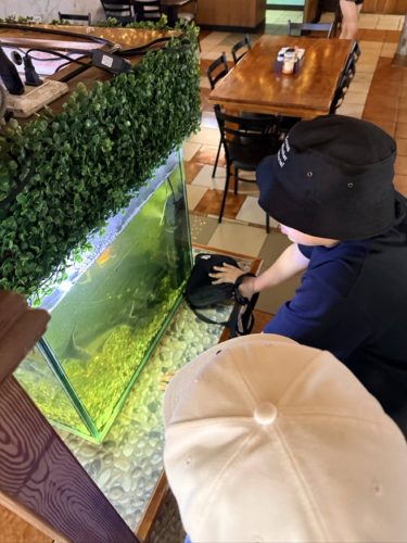 Costa-Rica-MAL-Day-125-Large