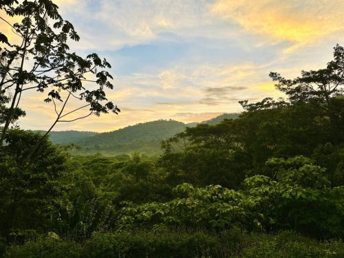 Costa-Rica-MAL-Day-14-Large