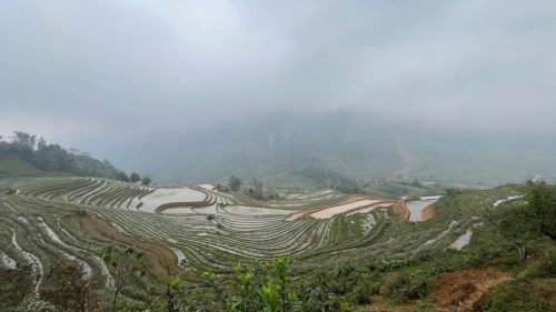 IMG 8039-1