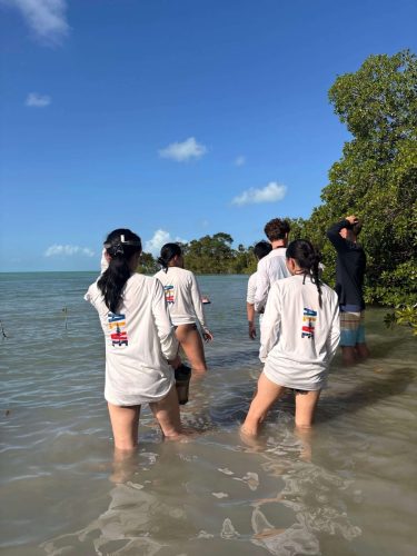 IMG 8534