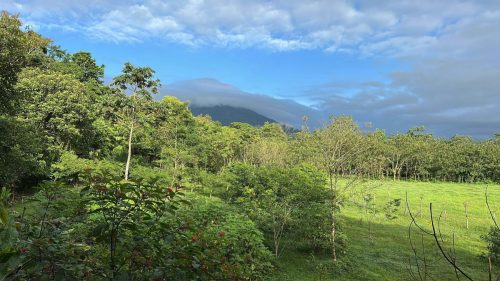 SMLS 26-Costa-Rica-ALIVE-128