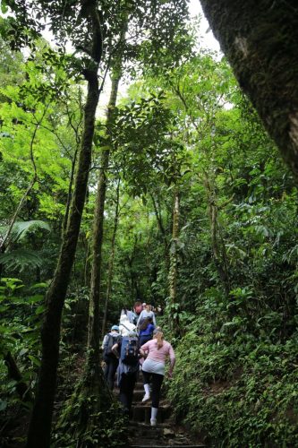 SMLS 26-Costa-Rica-ALIVE-57