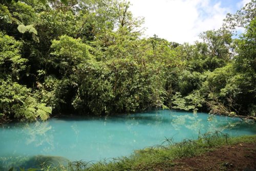 SMLS 26-Costa-Rica-ALIVE-61
