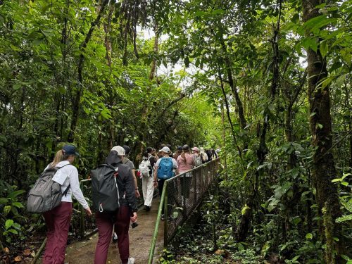 SMLS 26-Costa-Rica-ALIVE-69