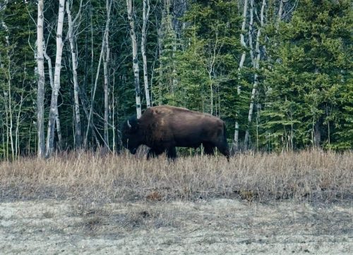 TYS-YUKON-28