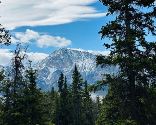 TYS-YUKON-29